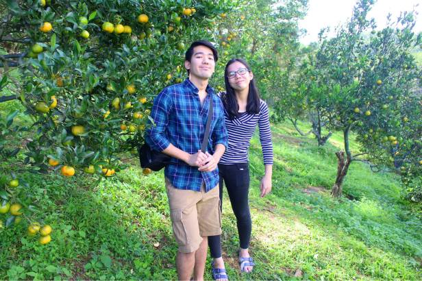 12238039_10205077755013964_8099116914385114112_o