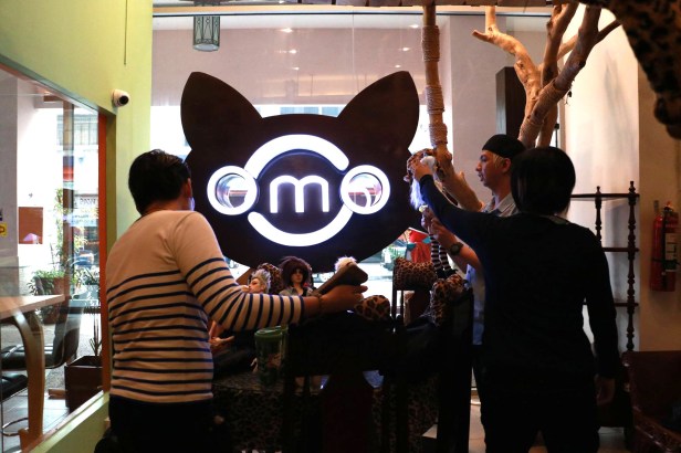 12633489_909612079157431_6624424214191846754_o