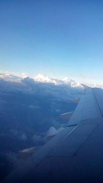 13695068_10205047091696092_230658659_n