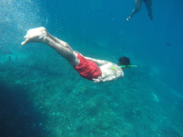 DCIM100GOPROG0320599.